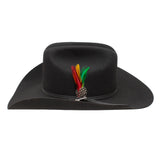 Black cowboy hat with a colorful feather and gemstone accent on a white background