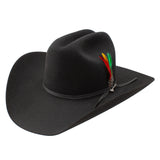 Black cowboy hat with a decorative feather on a white background