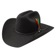 Black cowboy hat with a decorative feather on a white background